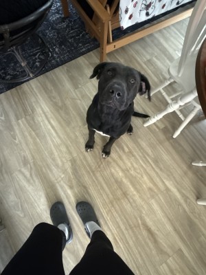 Photo of Bronx