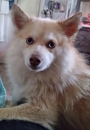 Photo of Sweet P