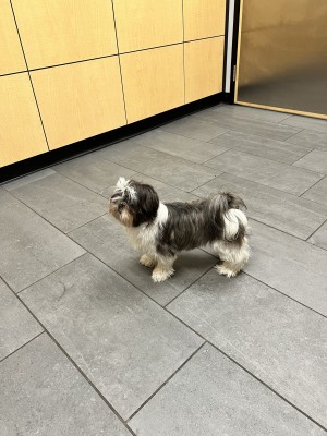 Photo of Phoebee