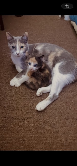 Photo of No Name