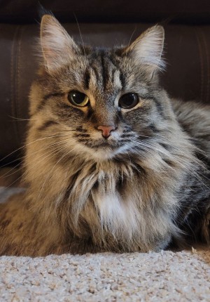 Photo of Mocha