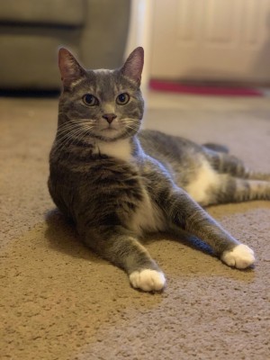 Photo of Oliver
