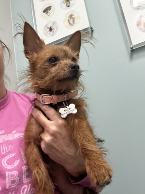Photo of Mitzi