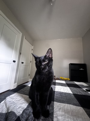 Photo of Damien