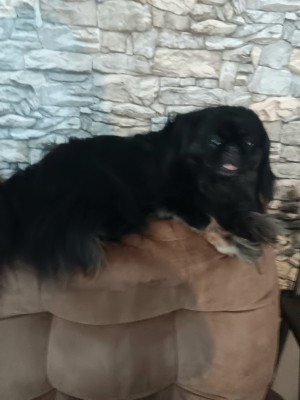 Photo of Levi
