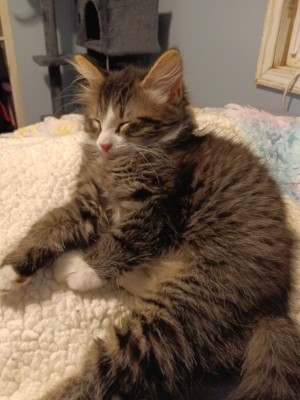 Photo of Max