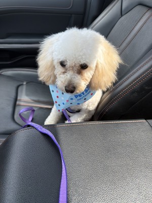 Photo of Marley