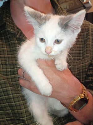 Photo of Baby