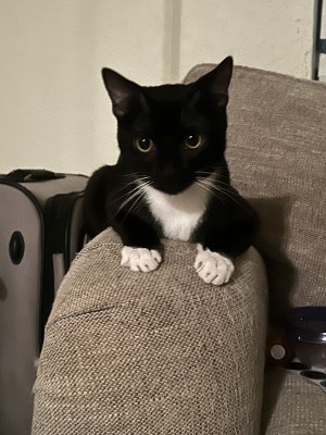 Photo of Spooks