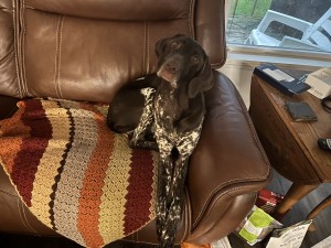 Photo of Abby