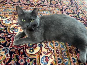Photo of Jillian