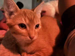 Photo of Gerald