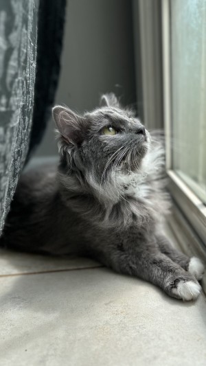 Photo of Moss