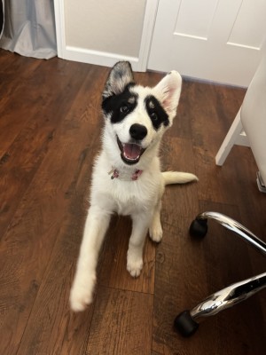 Photo of Winnie