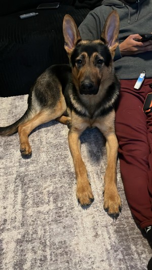 Photo of MAX