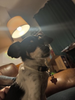 Photo of Maezie