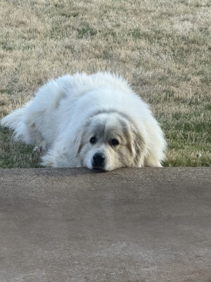 Photo of Sonny