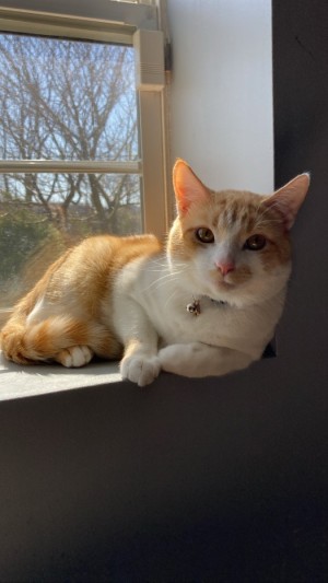 Photo of Reaper