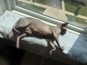 Photo of Chloe