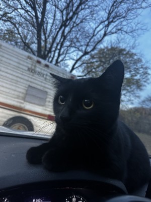 Photo of Itachi