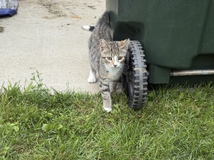 Photo of Unnamed