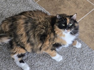 Photo of Winnie
