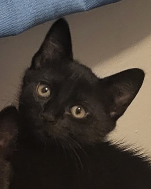 Photo of Cloud