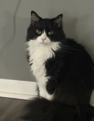 Photo of Vito
