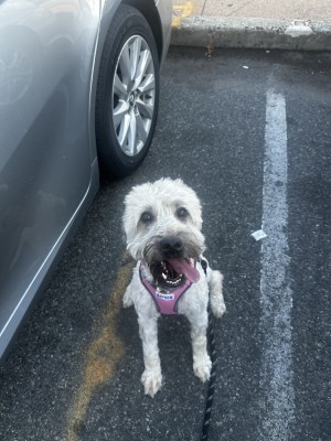 Photo of Minnie