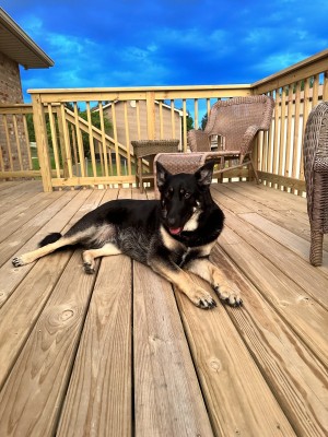 Photo of Roxie
