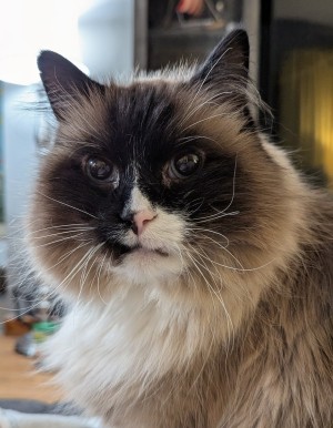 Photo of Fizzy