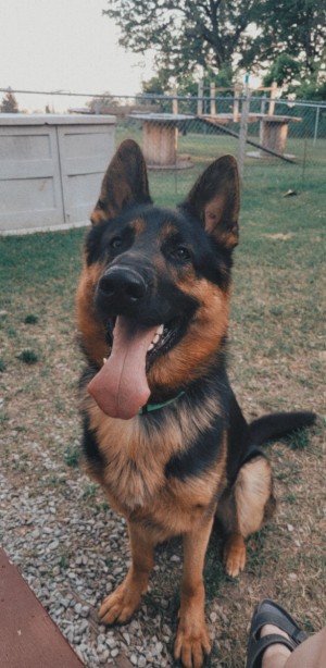 Photo of Kobe