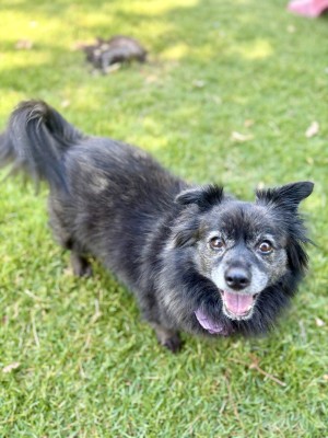 Photo of Zoe