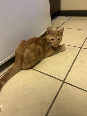 Photo of Bean