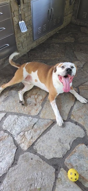 Photo of Reggie