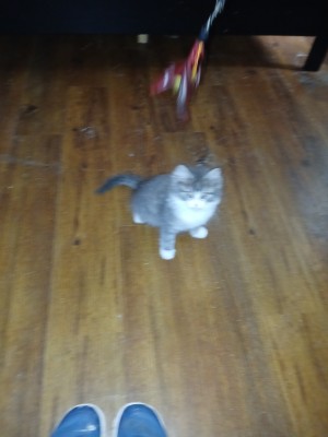 Photo of PJ