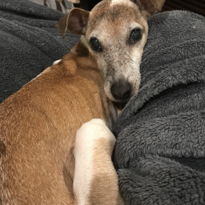 Photo of Pocket