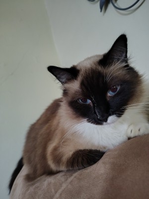 Photo of Jess