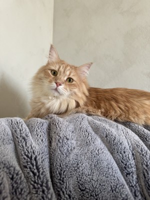 Photo of Jasper