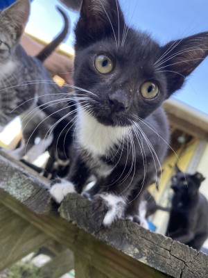 Photo of Harley