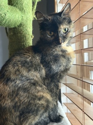 Photo of Storm
