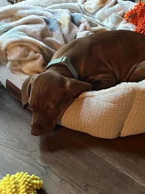 Photo of Xola