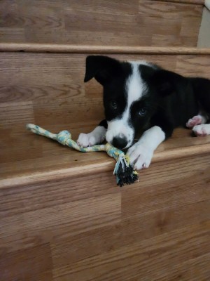 Photo of Anya