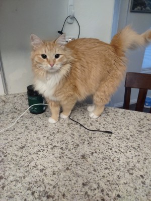 Photo of Gretta