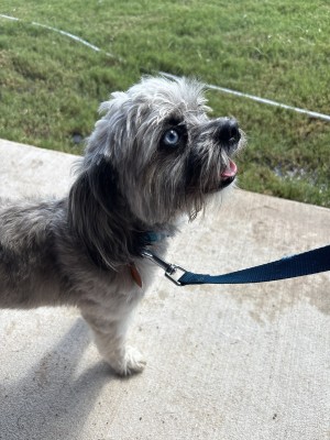 Photo of Wiggles