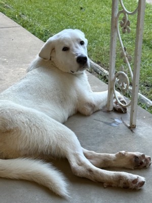Photo of Duke