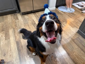 Photo of Atlas
