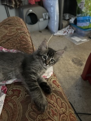 Photo of No Name