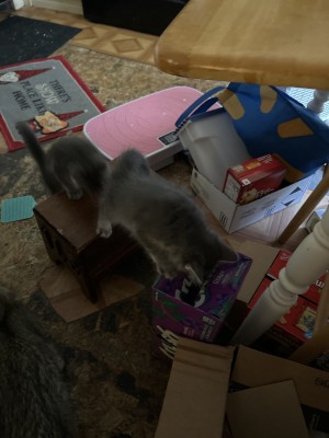 Photo of No Name Yet