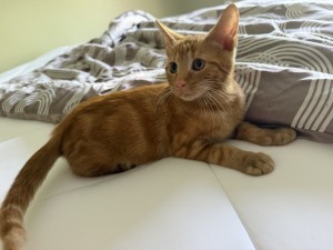 Photo of Stanley